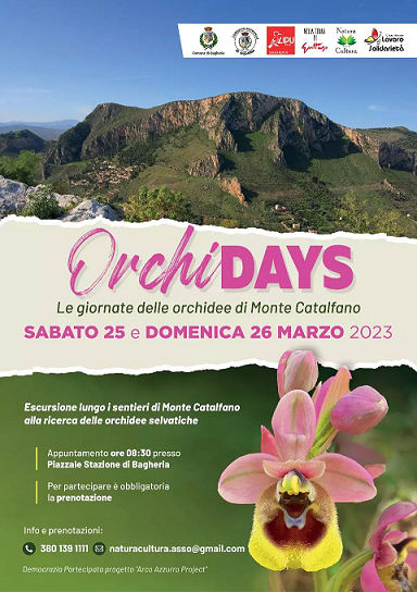 orchidays_locandina23