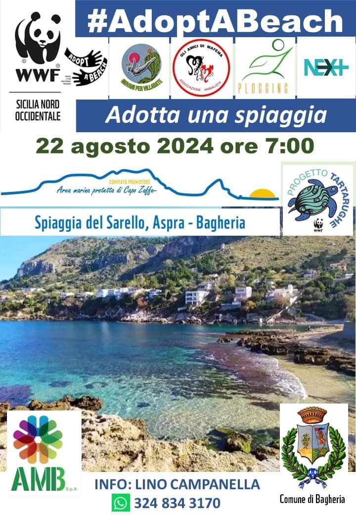 “Adopt a beach”. Iniziativa del comune di Bagheria WWF ed AMB.