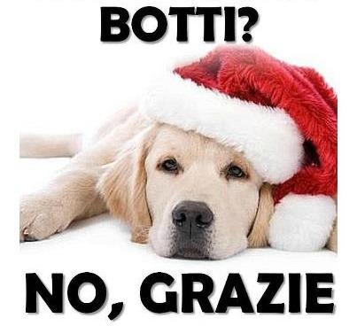 Cani e gatti: No ai botti di Capodanno. On line i documenti di gare per la realizzazione di un rifugio per cani