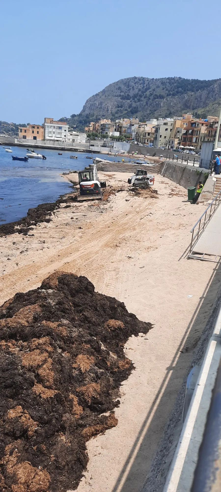 foto pulizia spiaggia (2)