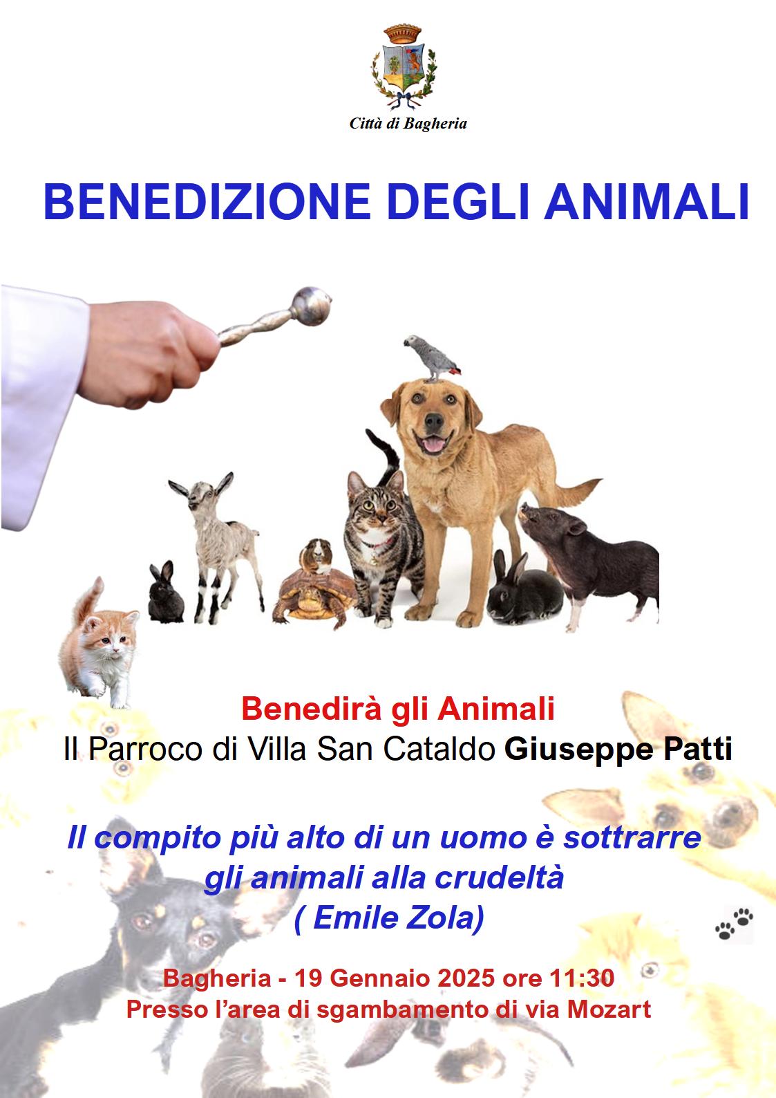 locandina benedizione cani