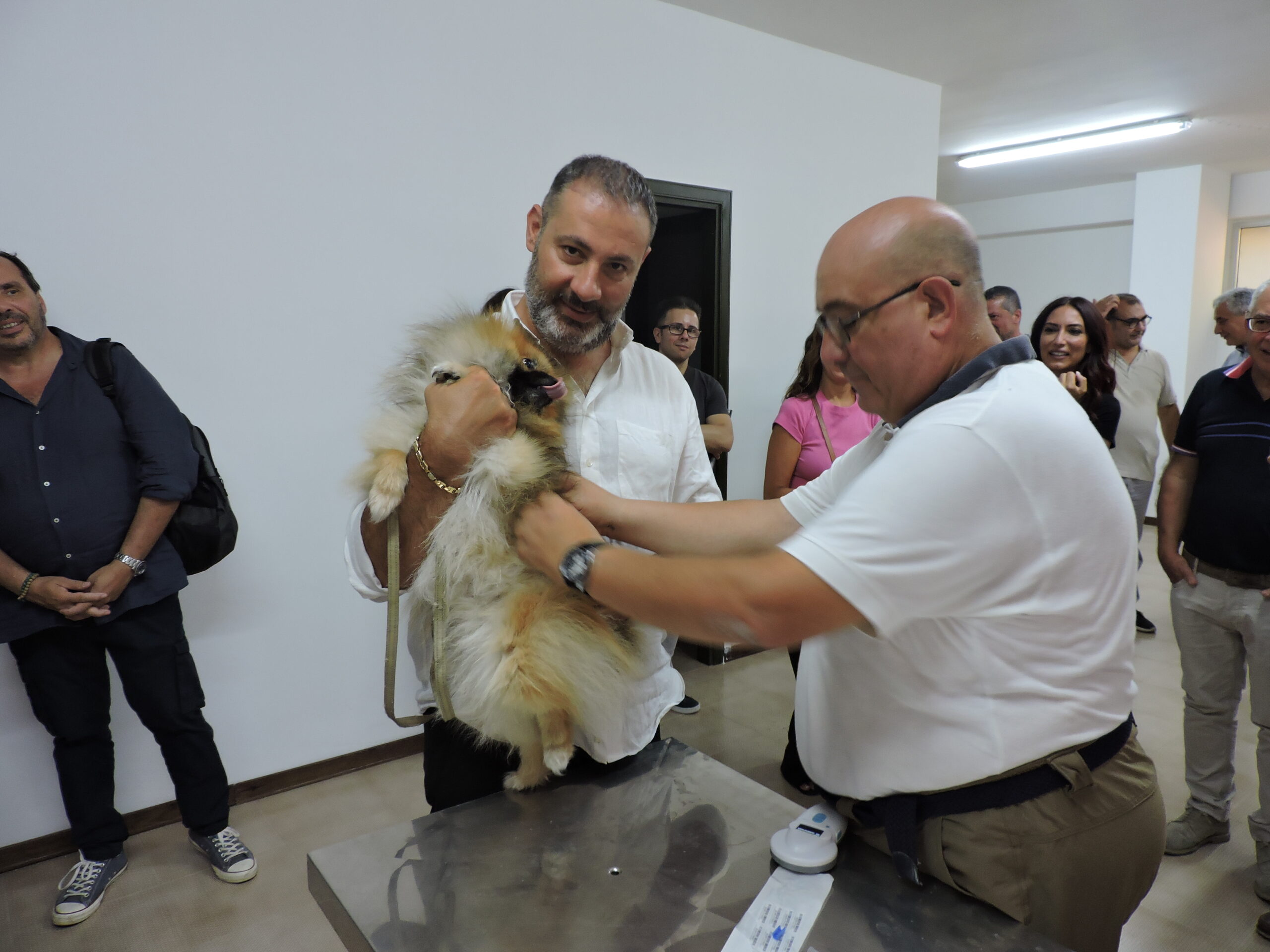 Inaugurato l'ufficio microcippatura per cani e gatti