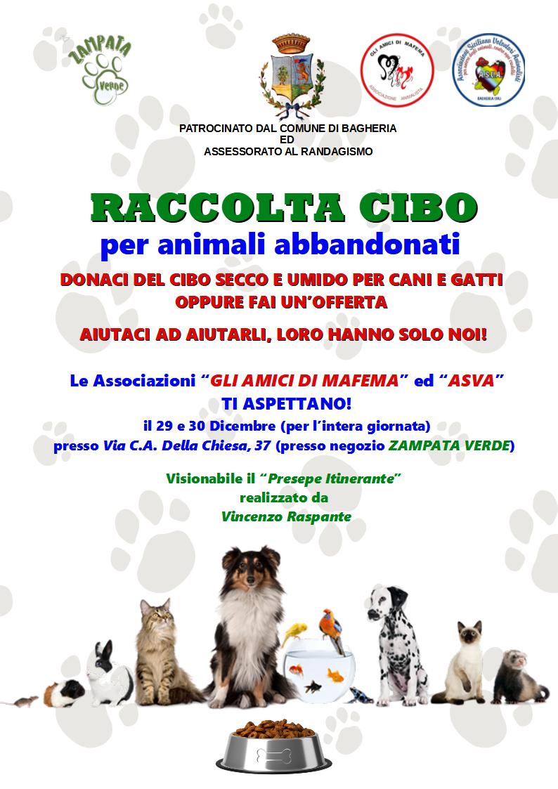 Raccolta cibo animali