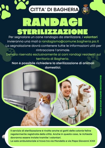 Bagheria: Parte la campagna gratuita di sterilizzazione dei cani randagi.