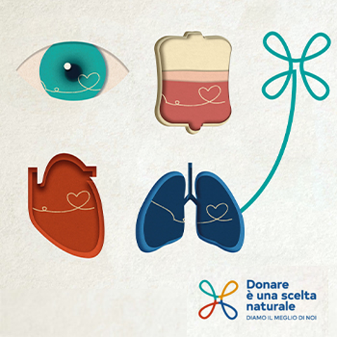 Il 14 aprile Giornata nazionale per la sensibilizzazione alla donazione di organi
