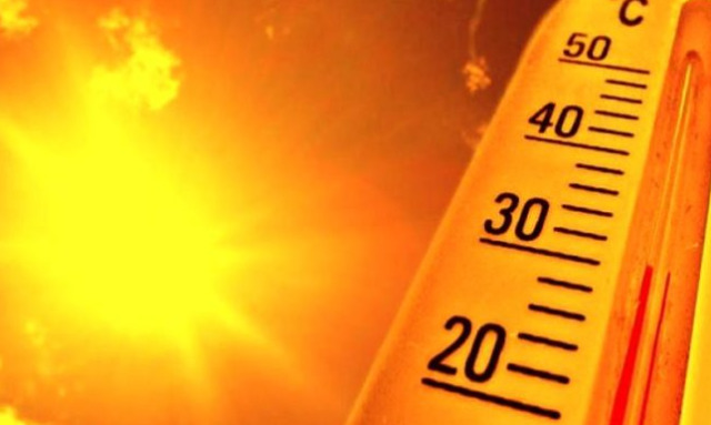 Emergenza caldo e ondate di calore 2024:  Open day dell'ASP lunedì 24 giugno 2024.