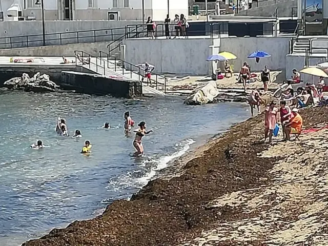 Posidonia sulle spiagge di Aspra: L'amministrazione corre ai ripari nel rispetto dell'habitat marino